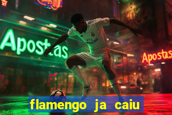 flamengo ja caiu para serie b